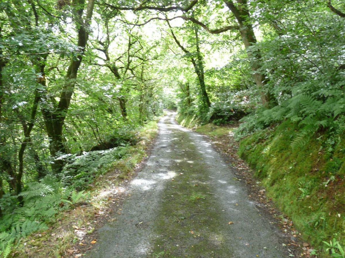 Вилла Romany Wagon & Cwtch Llandysul Экстерьер фото